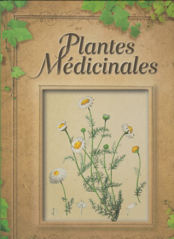 plantes médicinales