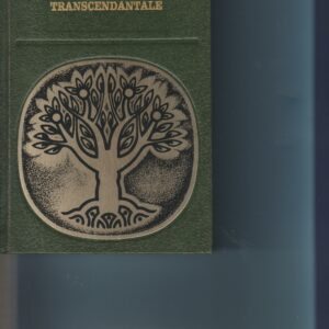 la méditation transcendantale